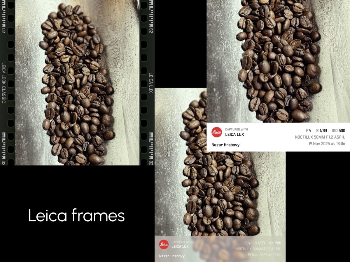 Leica frames