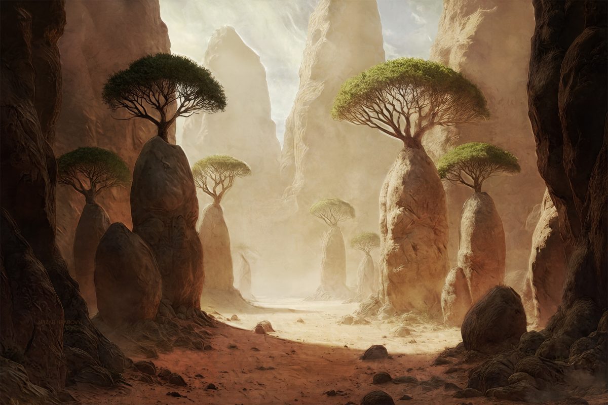 Biome : 1